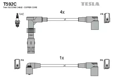 T592C TESLA
