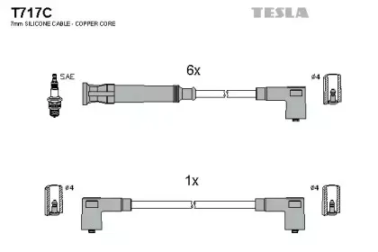 T717C TESLA