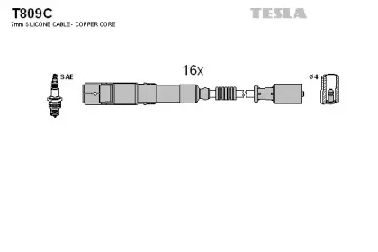 T809C TESLA