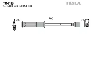 T841B TESLA