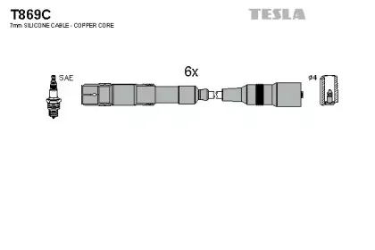 T869C TESLA