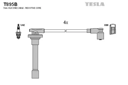 T895B TESLA