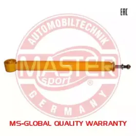 313378-PCS-MS MASTER-SPORT