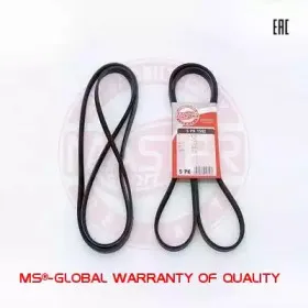 mastersport-5pk1592pcsms
