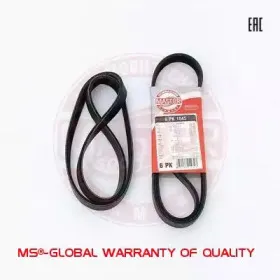 6PK1045-PCS-MS MASTER-SPORT