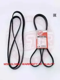 mastersport-6pk1900pcsms