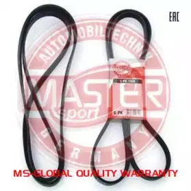6PK2215-PCS-MS MASTER-SPORT