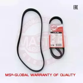 mastersport-6pk893pcsms