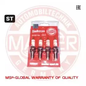 mastersport-bkr6egasstset4ms