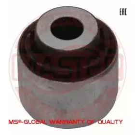 29919-PCS-MS MASTER-SPORT