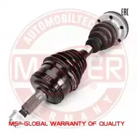 303382-SET-MS MASTER-SPORT