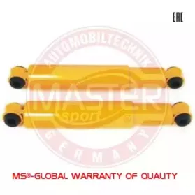 106005SET2MS MASTER-SPORT