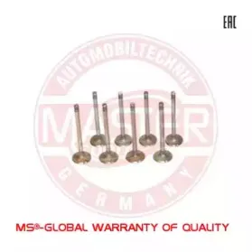 12EXSET8MS MASTER-SPORT Выпускной клапан