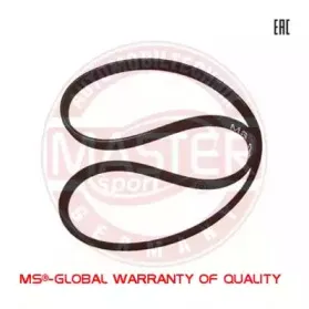 6DPK1195-PCS-MS MASTER-SPORT