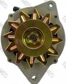 teamec-211807