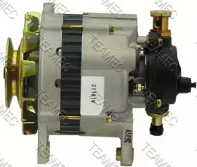 teamec-211810