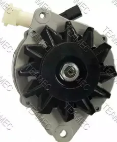 teamec-211811
