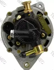 teamec-211815