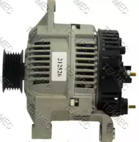 teamec-212526