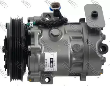 teamec-8600188
