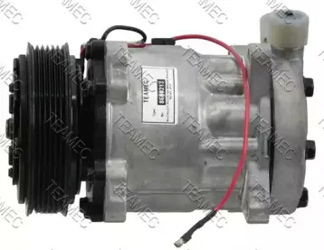 teamec-8600213