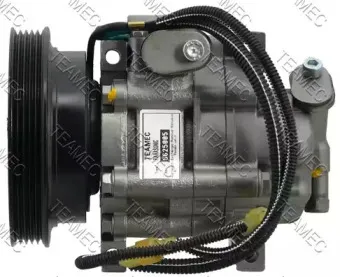 teamec-8625005