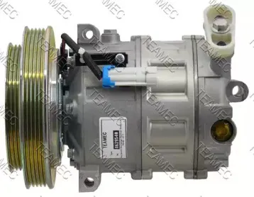 teamec-8629540