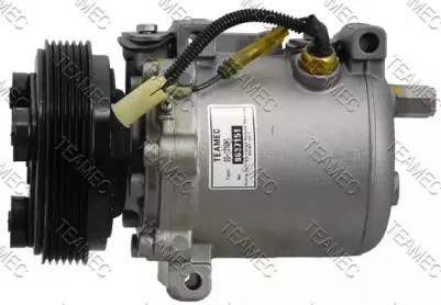 teamec-8637151