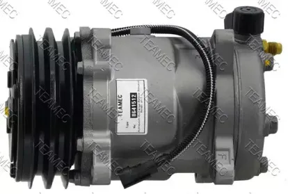 teamec-8641512