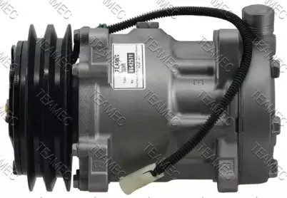 teamec-8642571