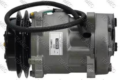 teamec-8645621