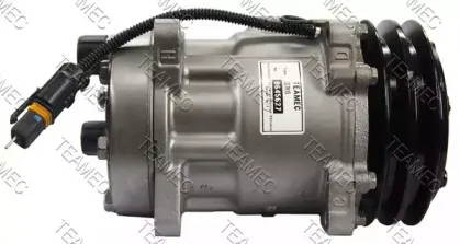 teamec-8645627