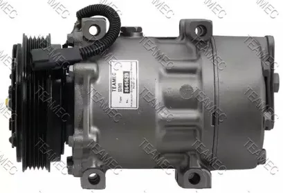 teamec-8645629