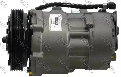 teamec-8646021