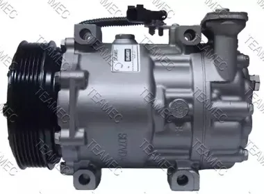 teamec-8646031