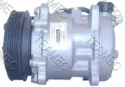 teamec-8650281