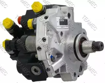 teamec-874810