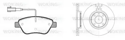 woking-8958301