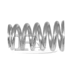 125-922 FA1 Пружина, глушитель