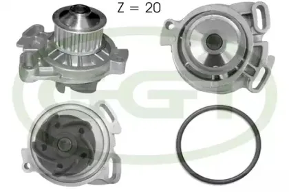ggt-pa10561