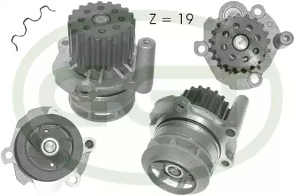 ggt-pa12796
