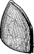 vanwezel-0320903
