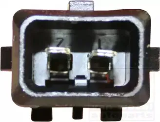 vanwezel-0950261