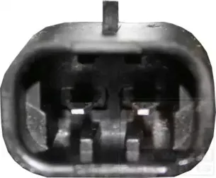 vanwezel-1758262