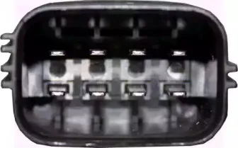vanwezel-1828263