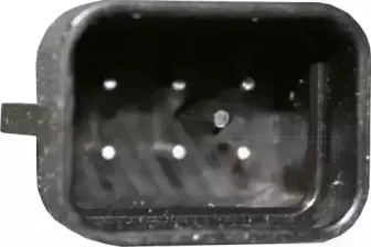 vanwezel-3790262