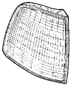 vanwezel-4045902