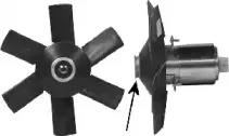 vanwezel-0322746