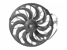 vanwezel-0640752