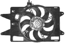 vanwezel-1636748